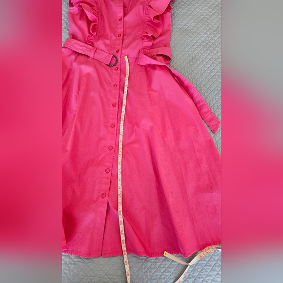 Pink Ruffled Button-Down Dress - Picture 14 of 15